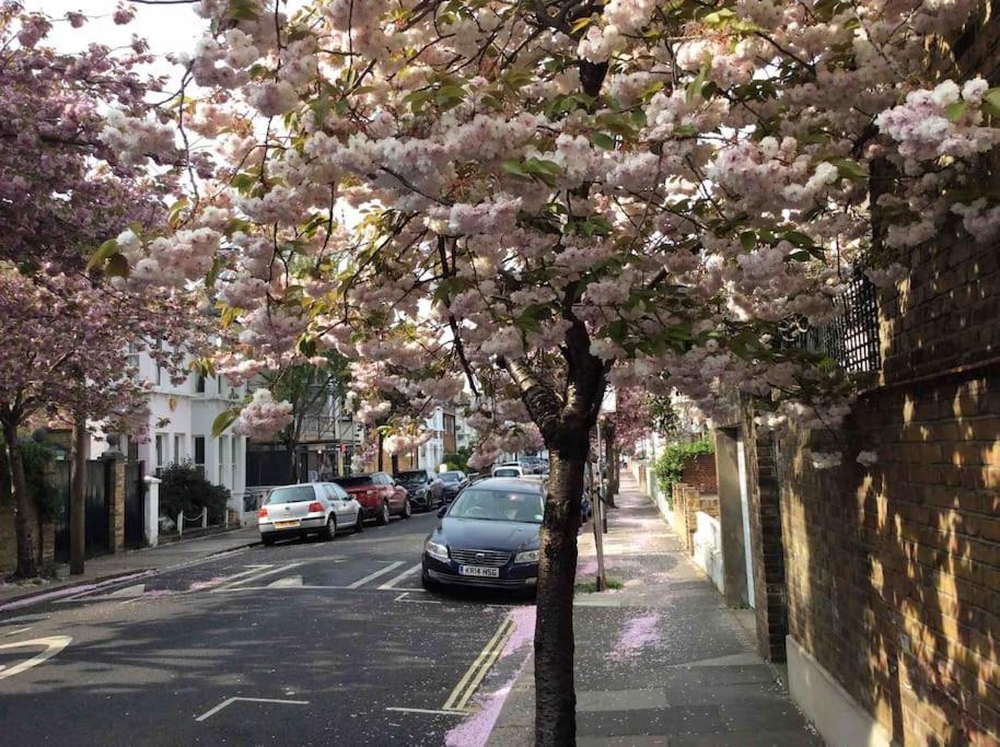 Glorious View Over The Park * Londra